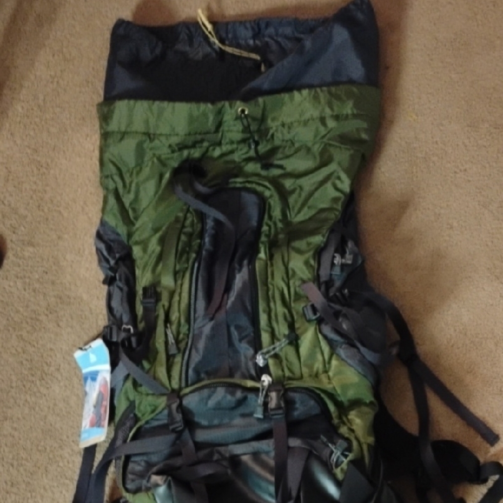 Gregory Green and Black Backpack